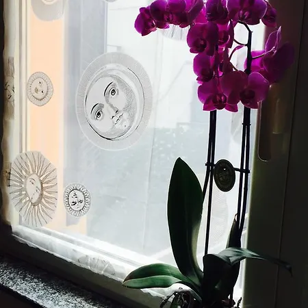 Suite 아파트 *